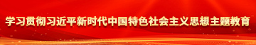 美女艹鸡巴学习贯彻习近平新时代中国特色社会主义思想主题教育